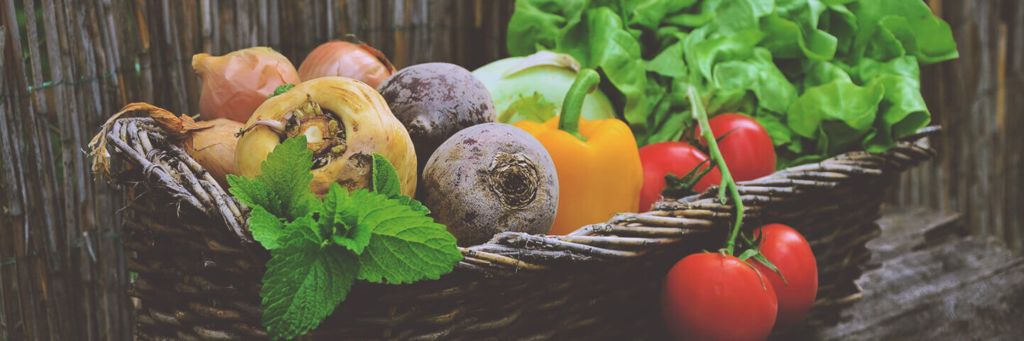 assorted vegetables in a basket