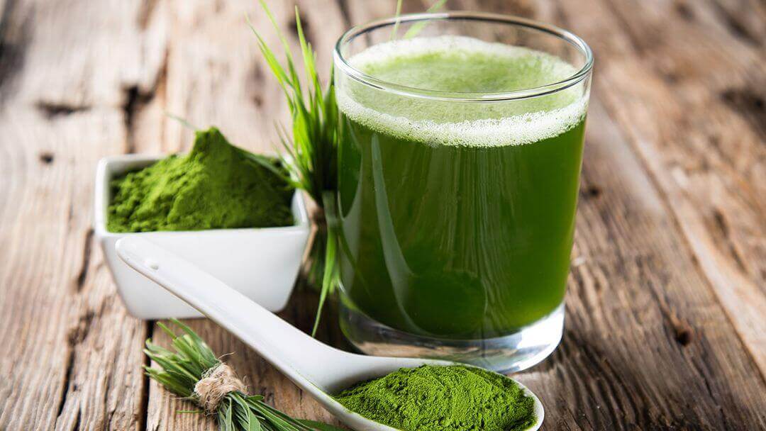 Spirulina Little known cancerfighting sea algae Cancer Tutor