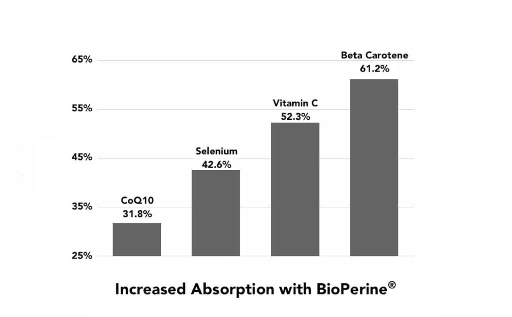Bioperine Increases Absorption of other Nutrients