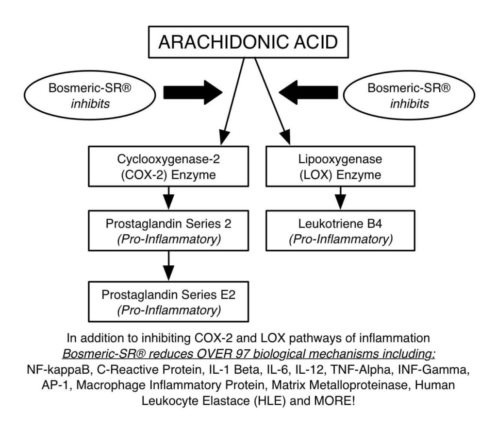 Bosmeric-SR inhibits COX and LOX