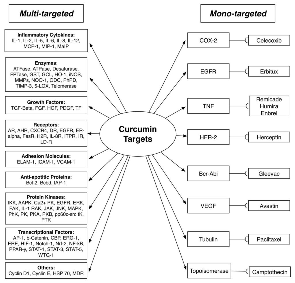 Curcumin Targets